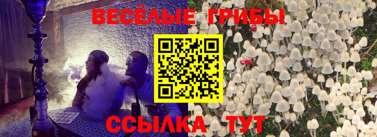 Псилоцибиновые грибы GOLDEN TEACHER  Вход с VPN  Троицк 