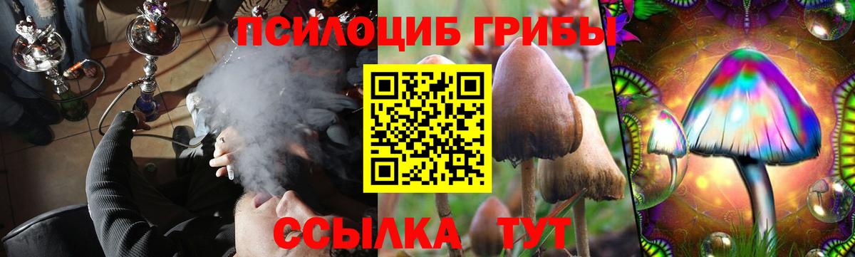 Псилоцибиновые грибы Magic Shrooms Троицк